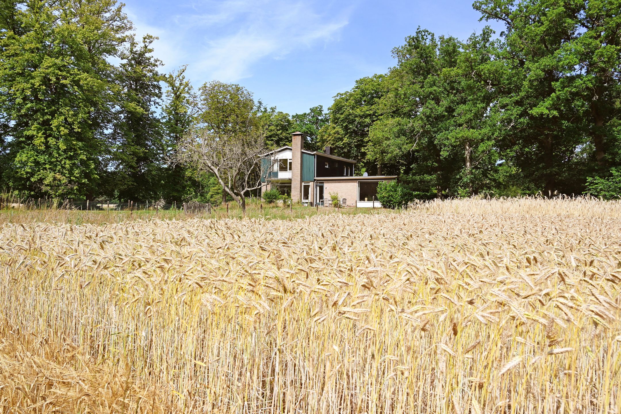 Foto 3 van Wekeromseweg 2