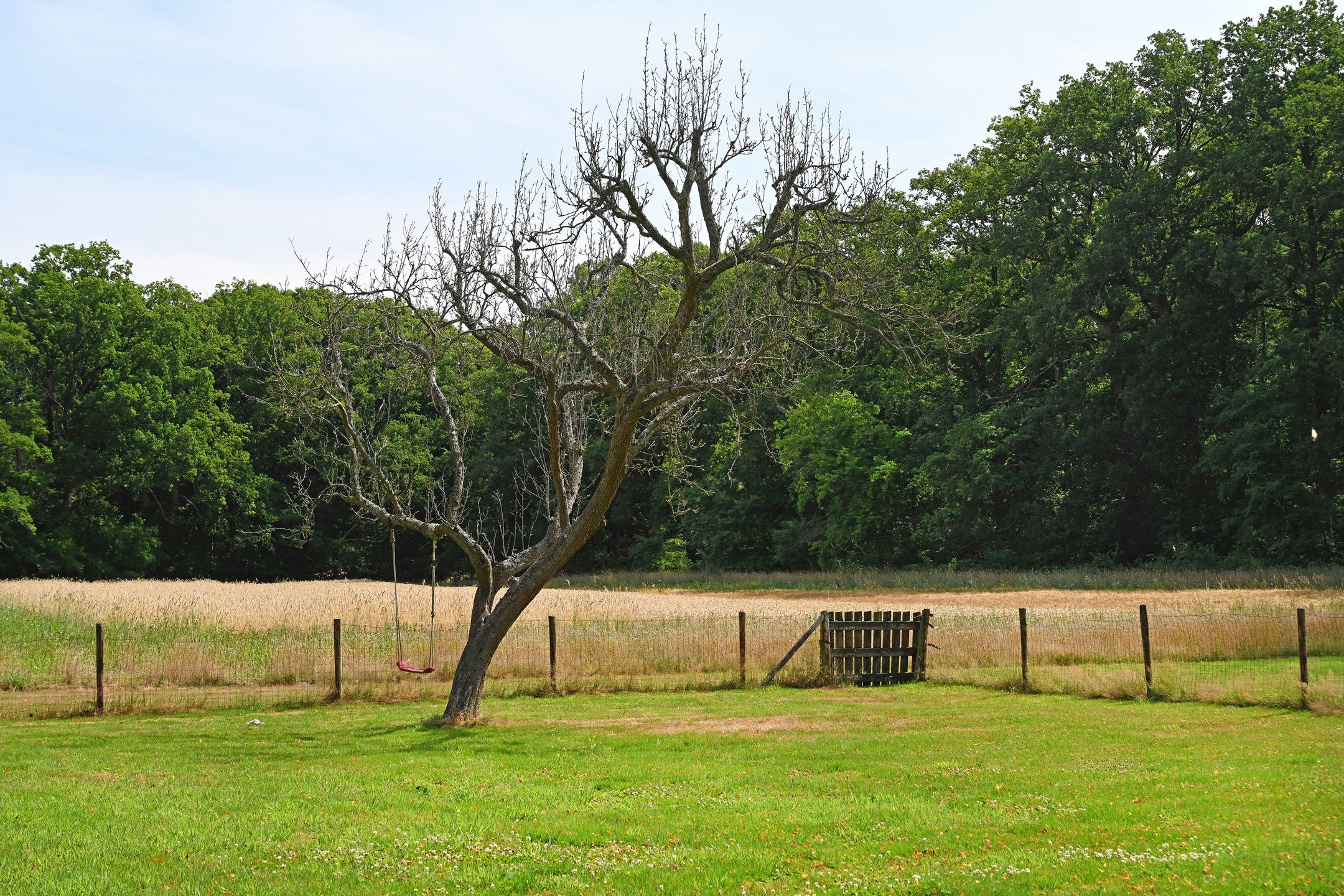 Foto 27 van Wekeromseweg 2