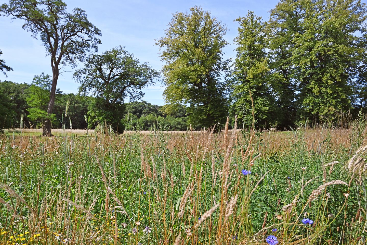 Foto 29 van Wekeromseweg 2