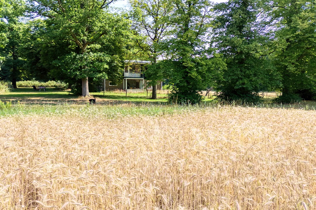 Foto 32 van Wekeromseweg 2