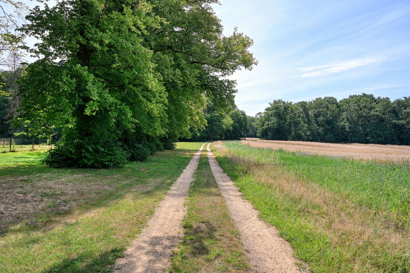 Foto 34 van Wekeromseweg 2