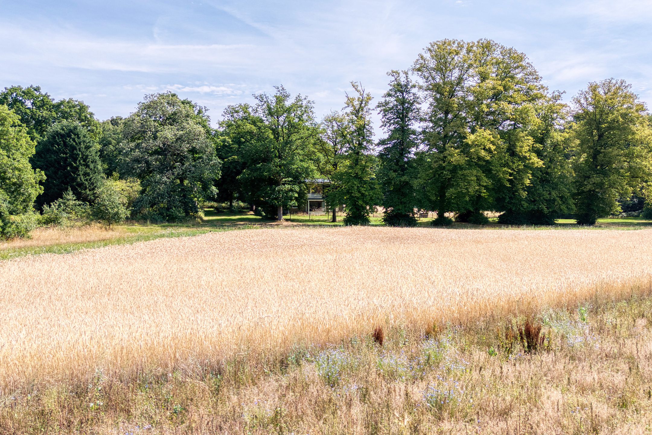 Foto 33 van Wekeromseweg 2