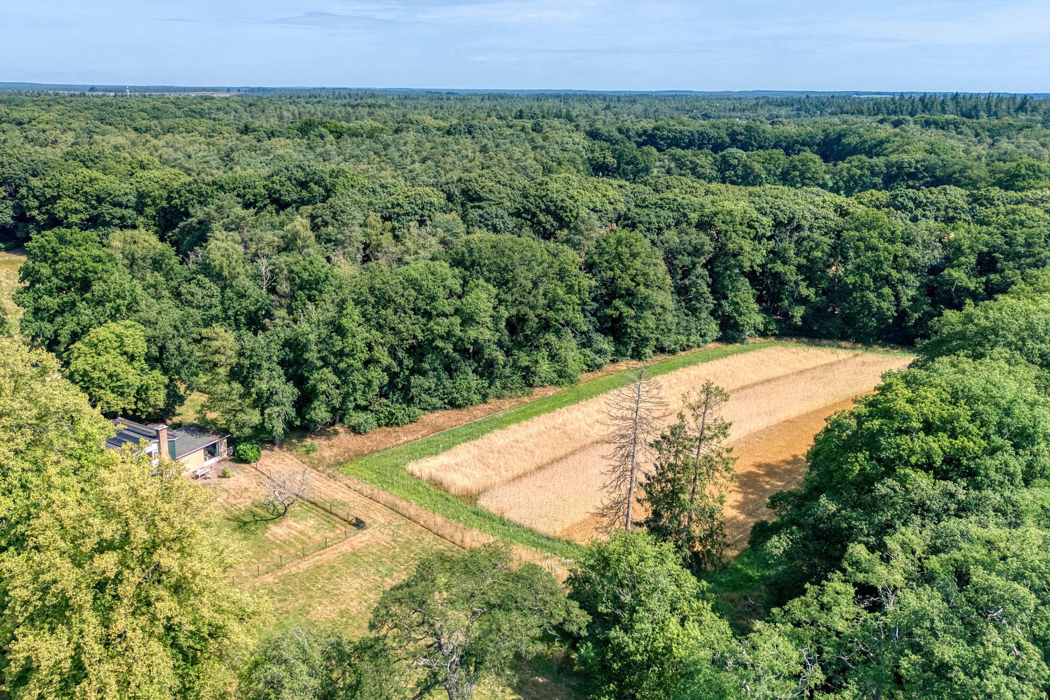 Foto 36 van Wekeromseweg 2