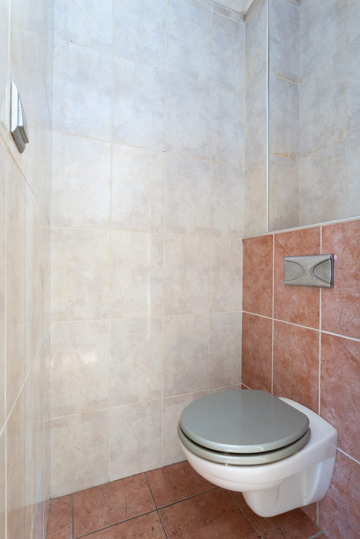 Foto 6 van Ooievaar 9