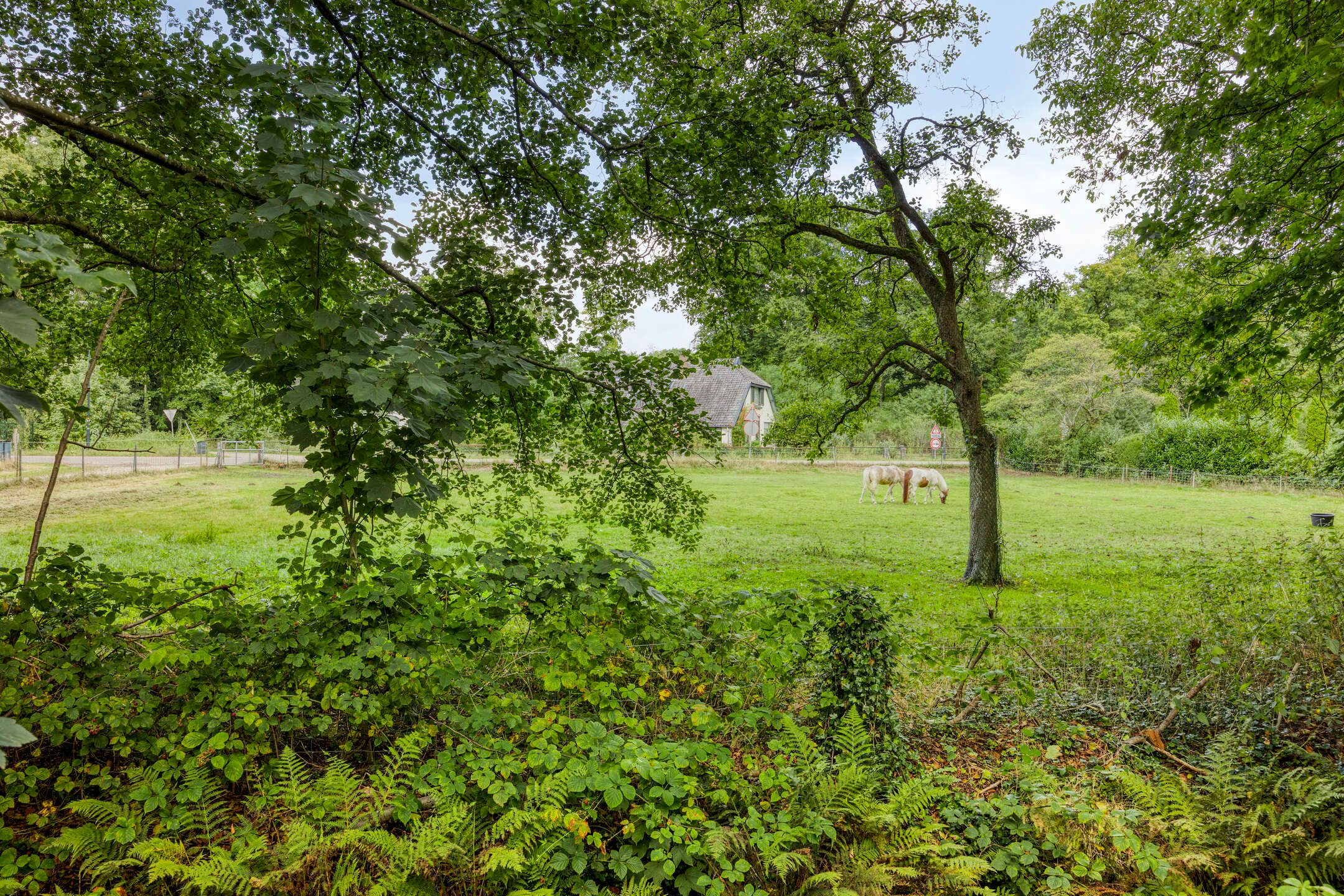 Photo 57 of Hoenderloseweg 145