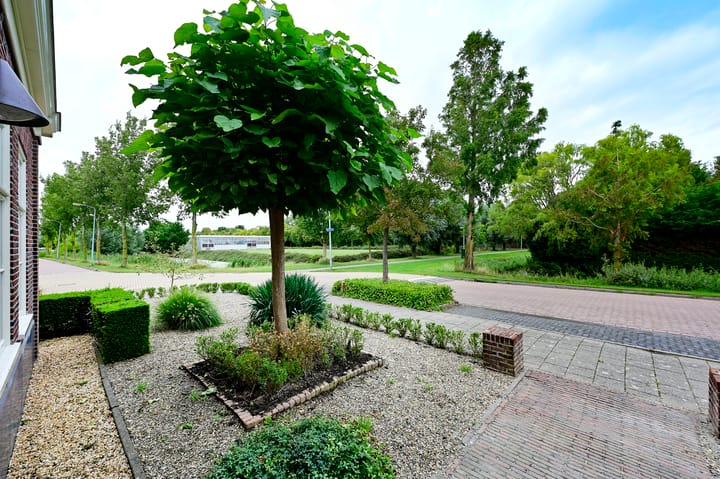 Foto 5 van Rietgans 5-A