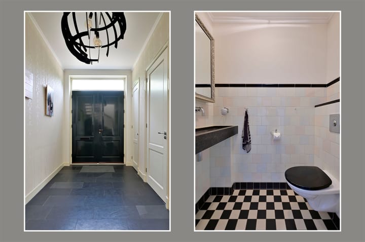 Foto 6 van Rietgans 5-A