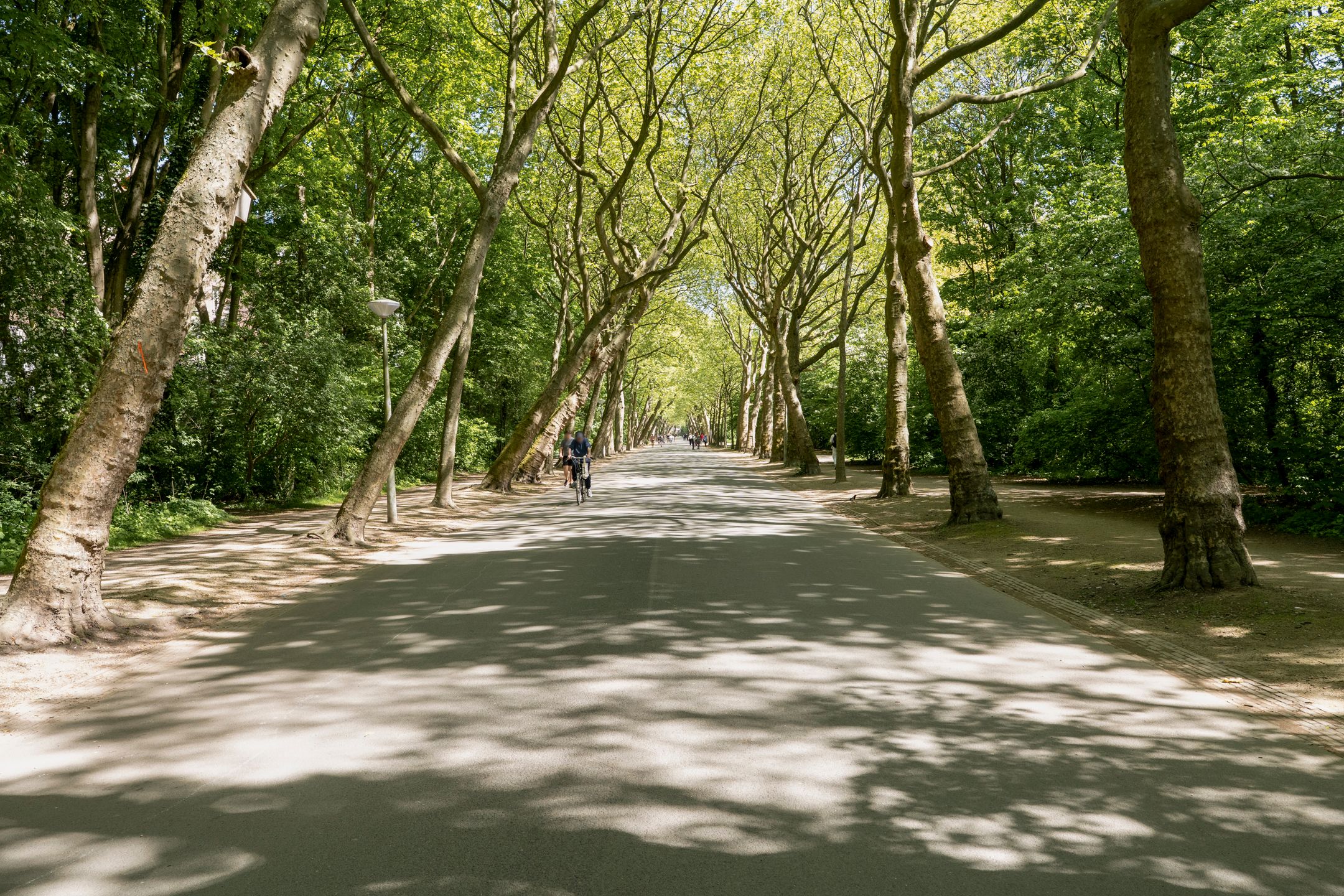 Foto 24 van Bonairestraat 93-2