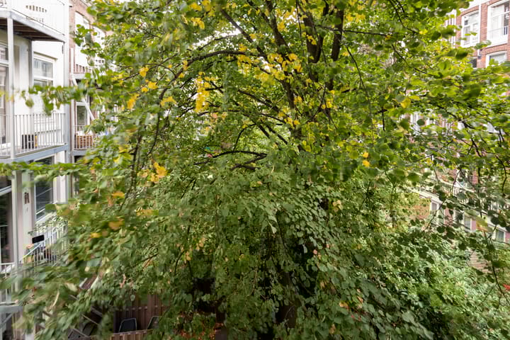 Foto 18 van Tweede Hugo de Grootstraat 12-2