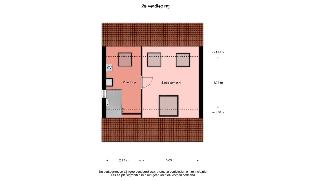 Foto 32 van Buddlejalaan 52