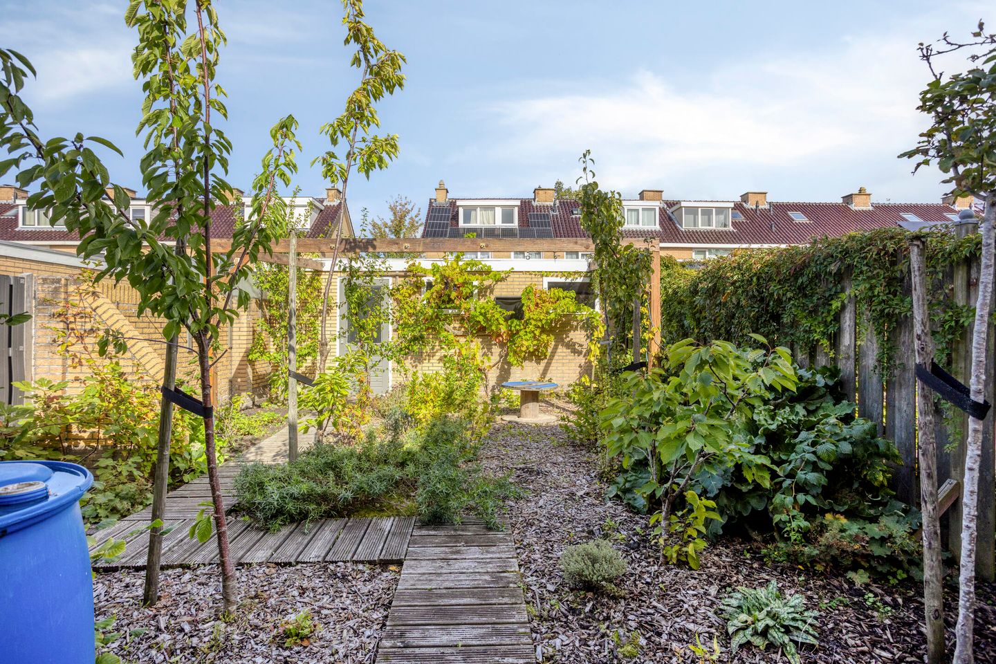 Foto 34 van Buddlejalaan 52
