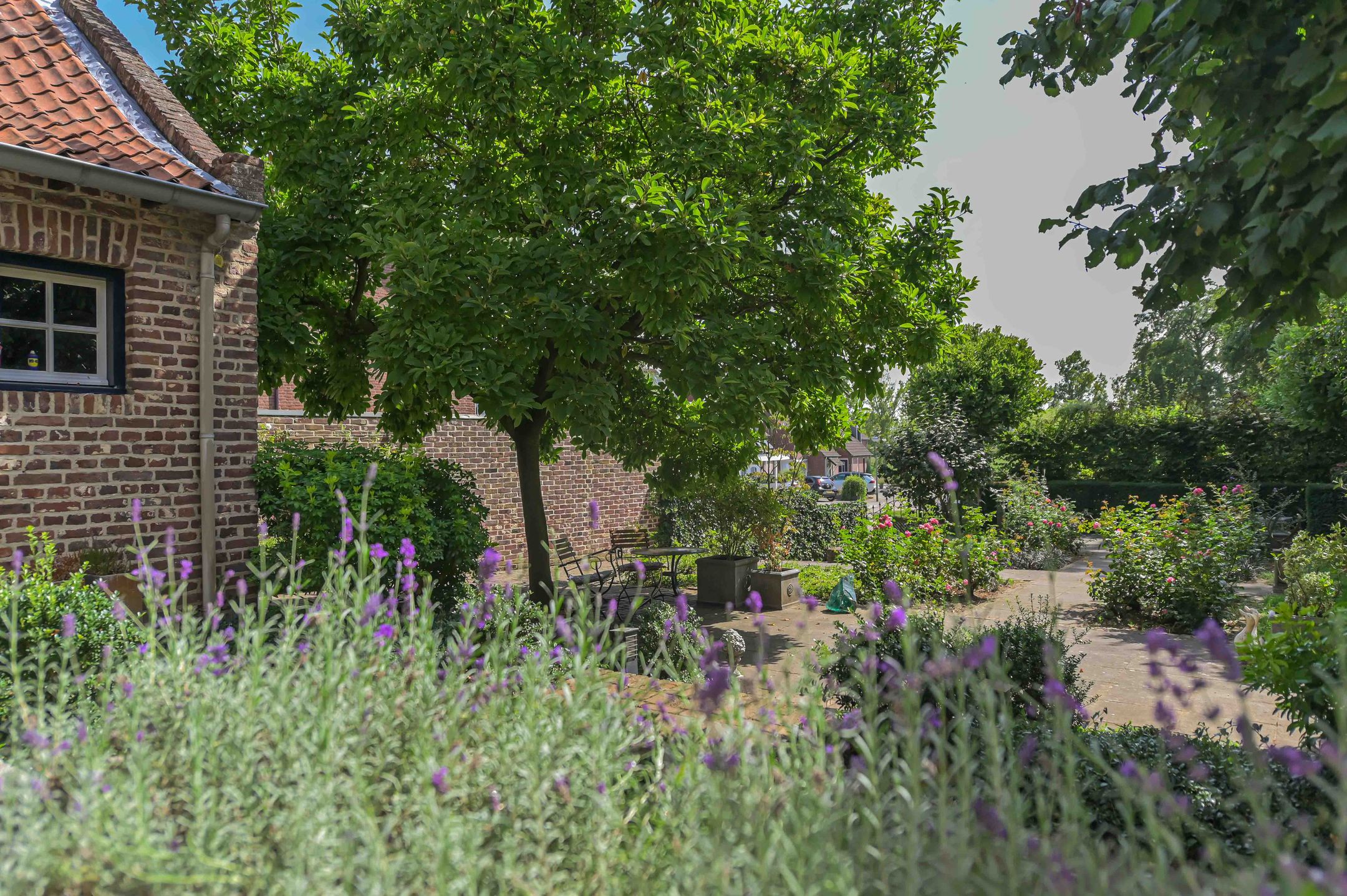 Foto 42 van Dorpstraat 10