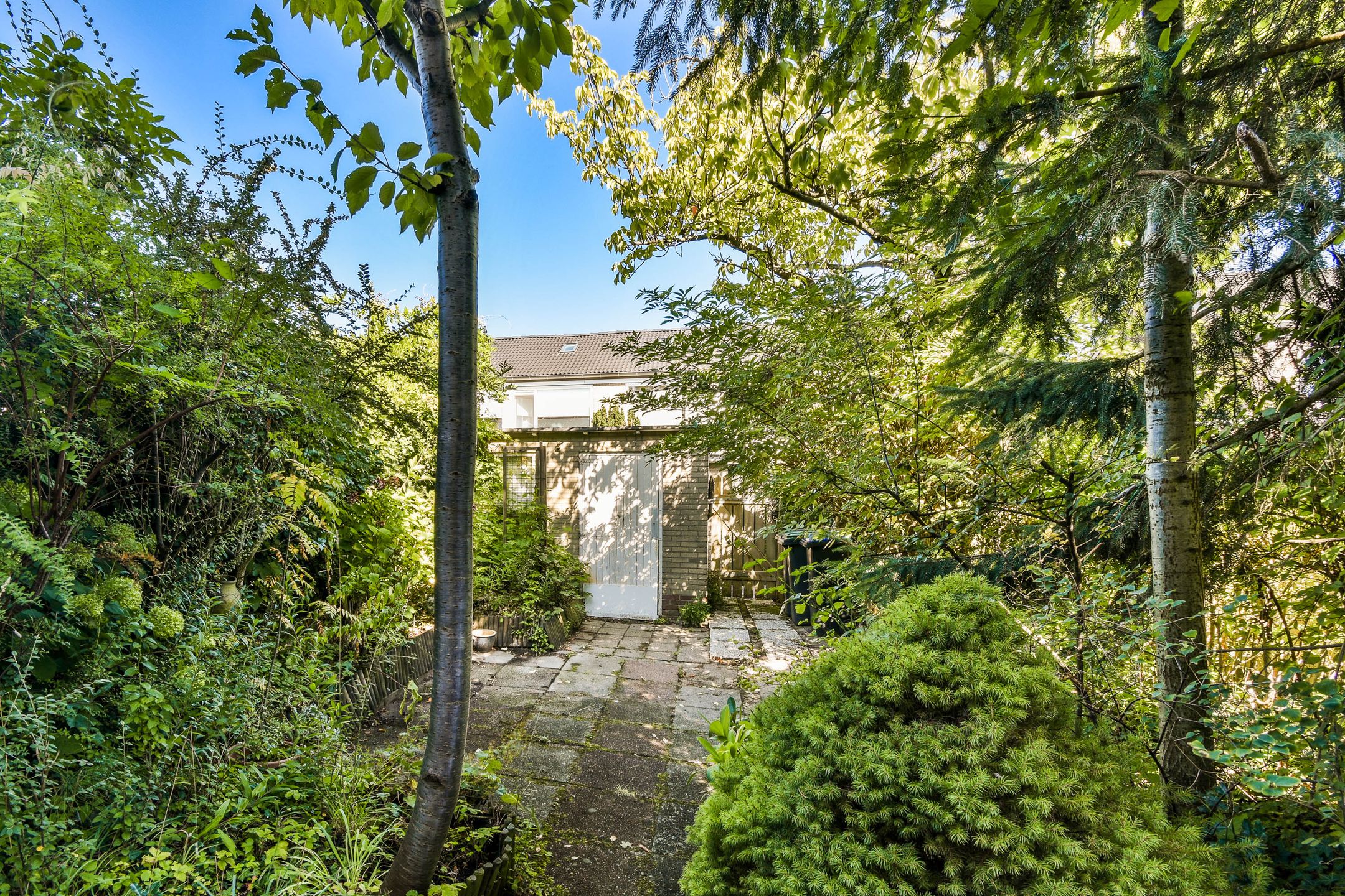 Foto 6 van Iepenlaan 34