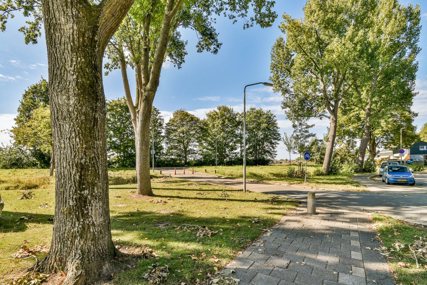 Foto 35 van Iepenlaan 34