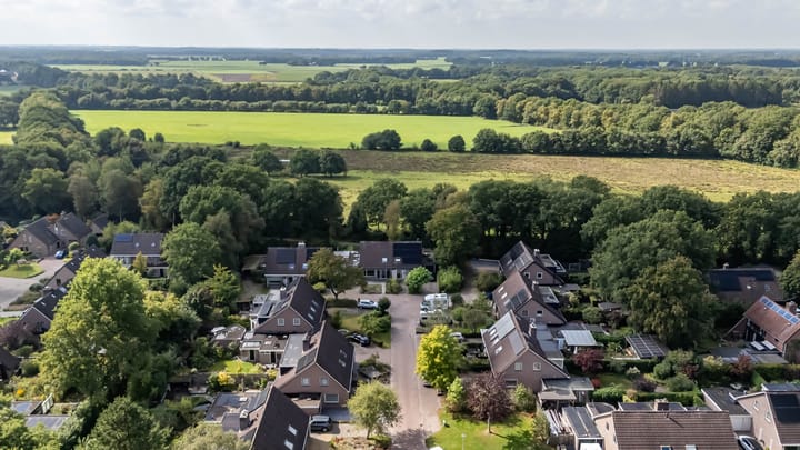 Foto 7 van Etstoel 20