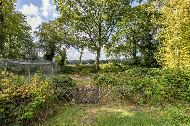 Foto 53 van Etstoel 20