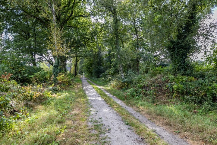 Foto 54 van Etstoel 20