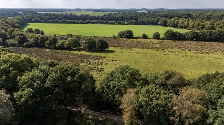 Foto 57 van Etstoel 20