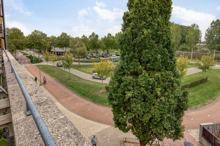 Foto 47 van Merbau 72