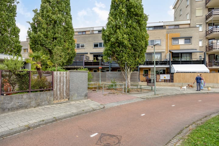 Foto 50 van Merbau 72