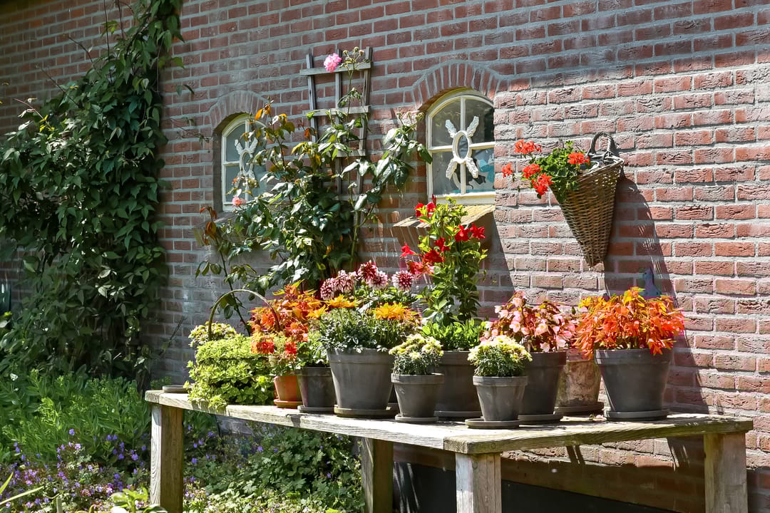 Foto 62 van Valburgseweg 85