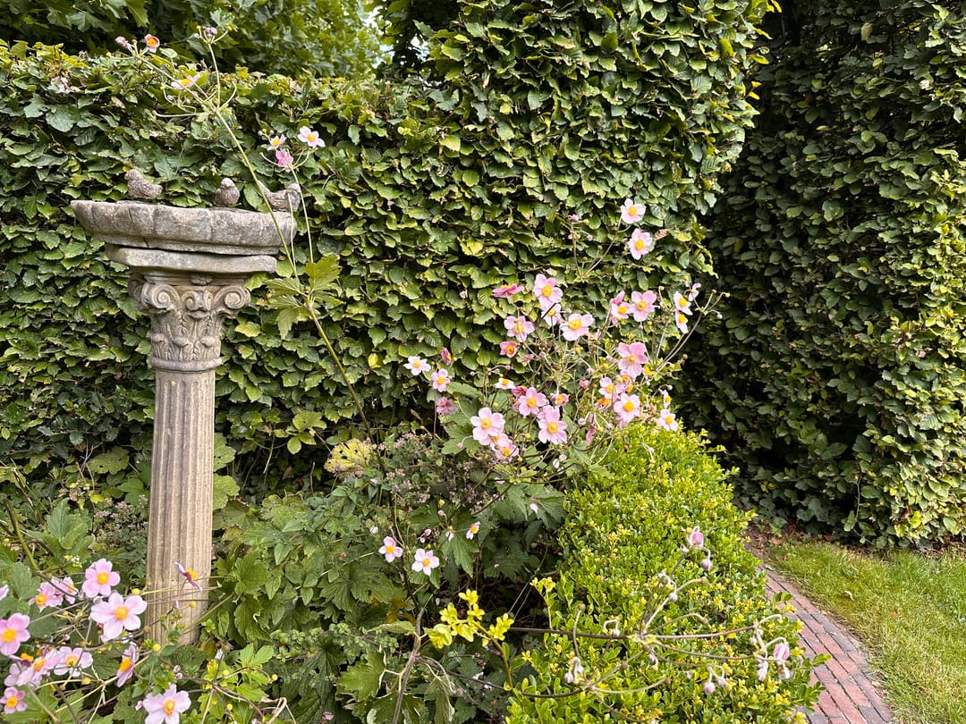 Foto 67 van Valburgseweg 85