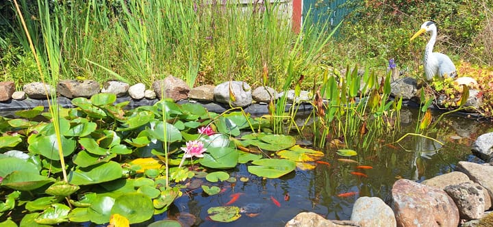 Foto 30 van Noordenveldweg 114