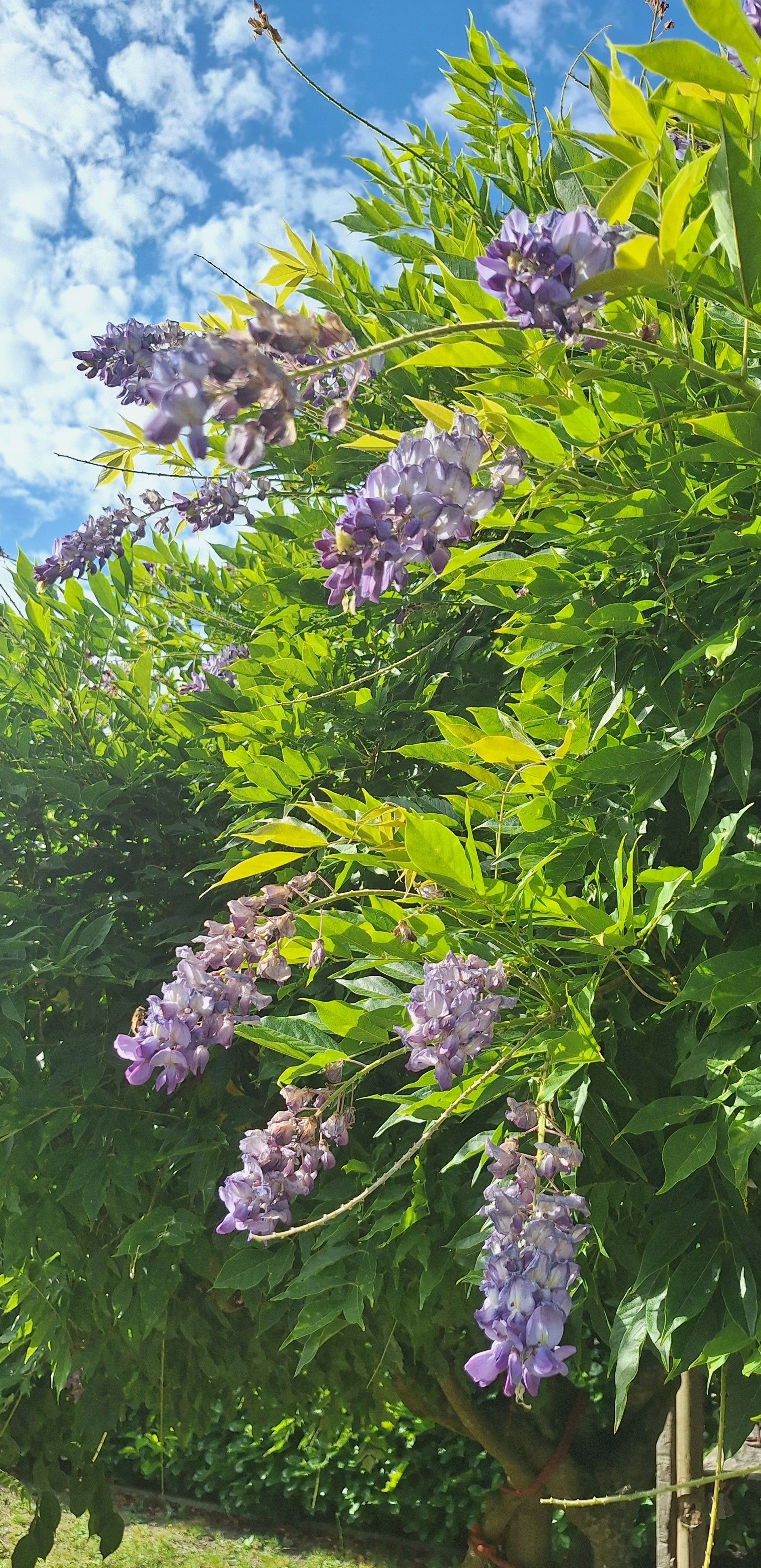 Foto 60 van Noordenveldweg 114