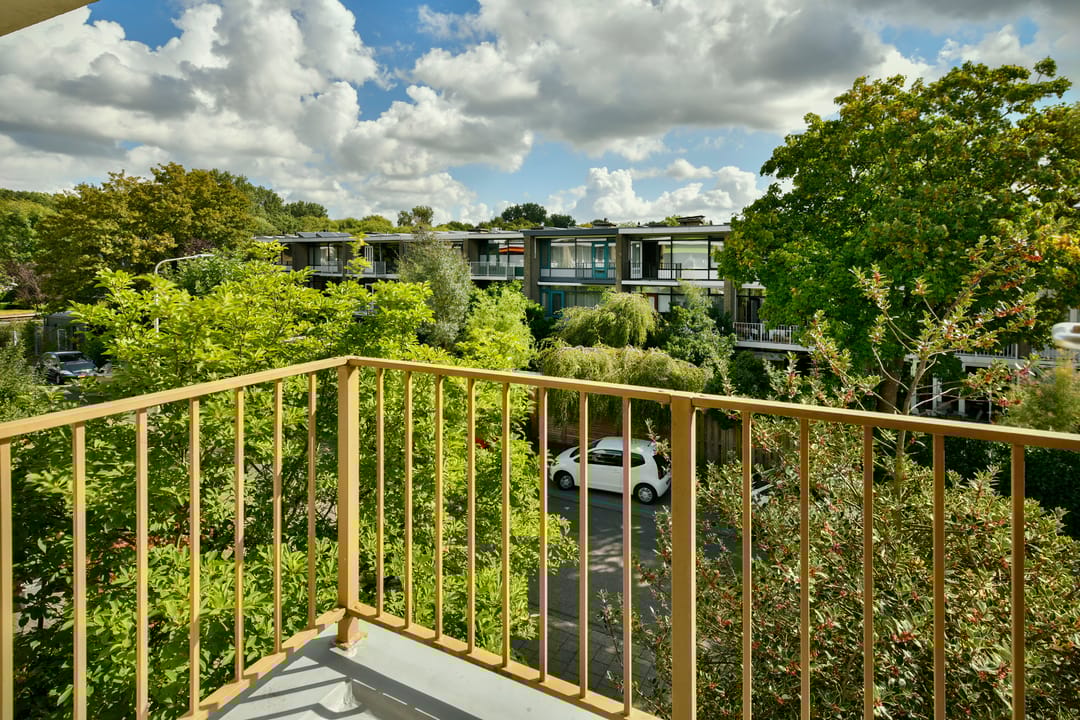 Foto 22 van Kruidenommegang 18