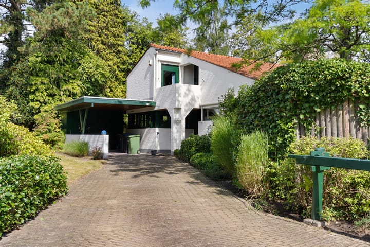 Foto 37 van Vaarwerkhorst 19