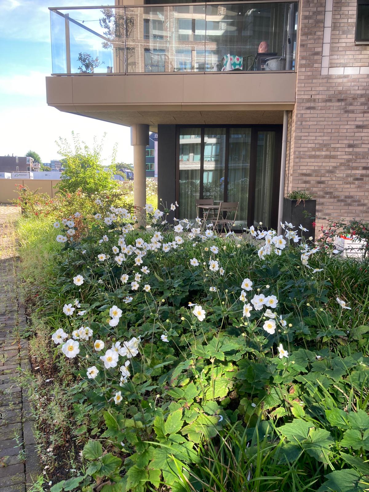 Foto 4 van Noorderkade 2-G