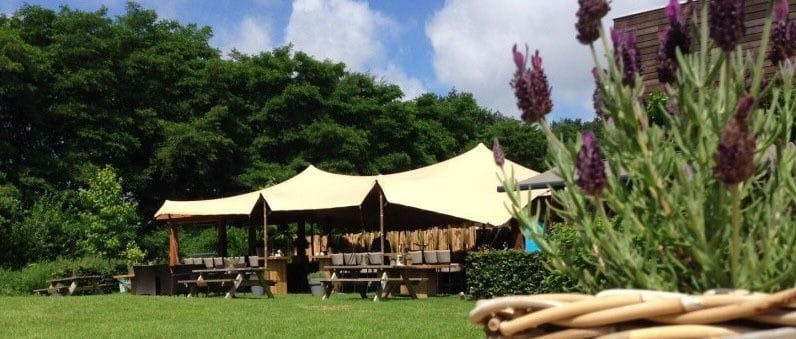 Bekijk foto 3 van Rozenvendreef 2