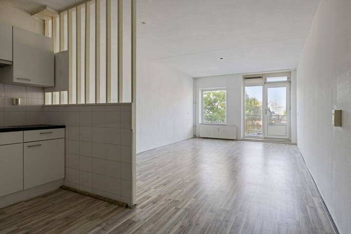 Foto 2 van Zuidvliet 490