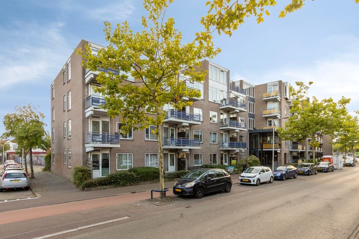 Foto 4 van Zuidvliet 490