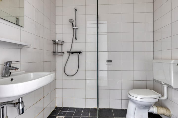 Foto 25 van Zuidvliet 490