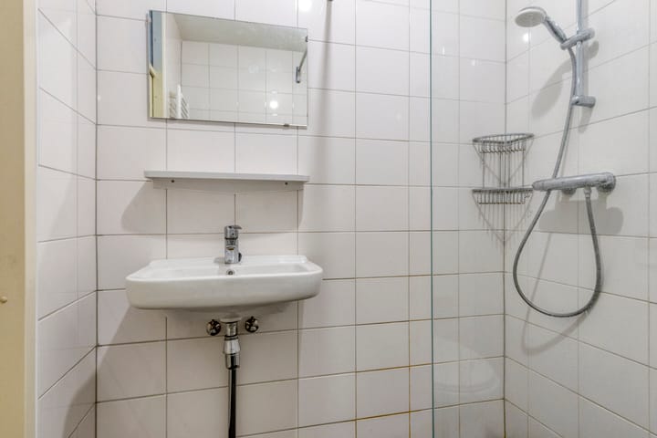 Foto 26 van Zuidvliet 490