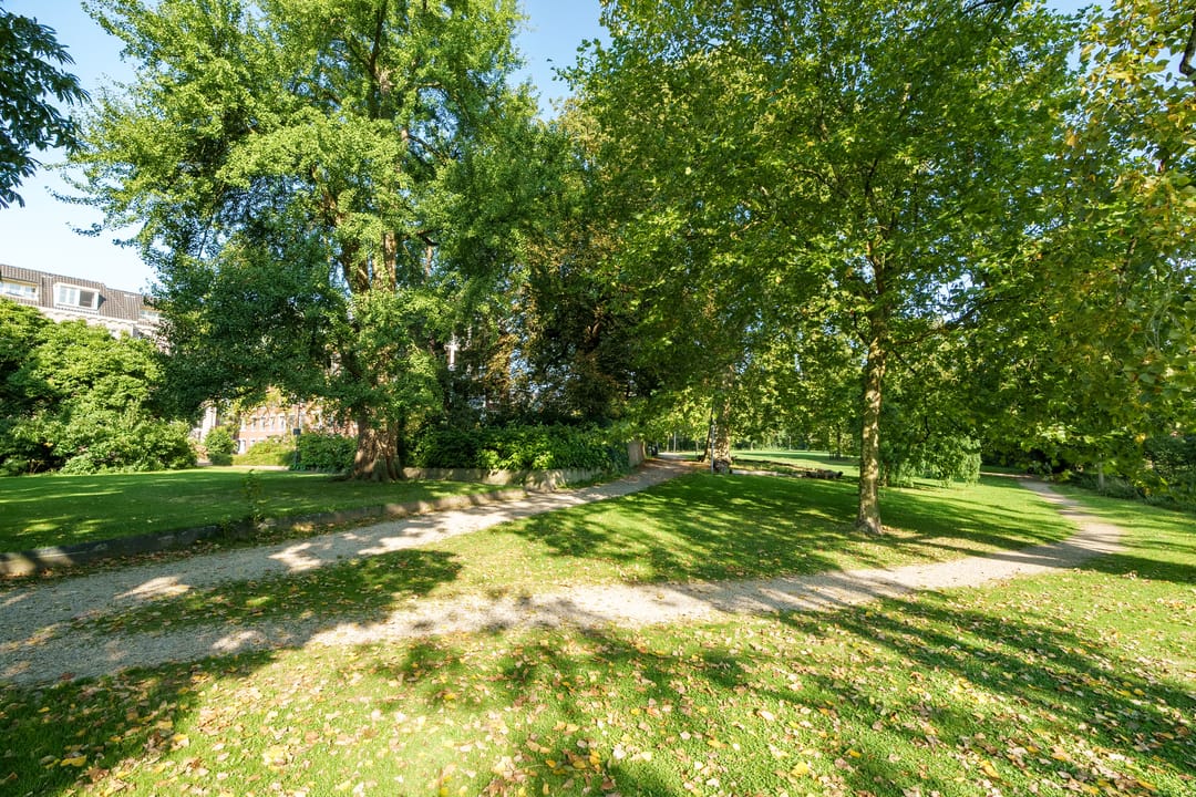 Photo 26 of Bassecour 60