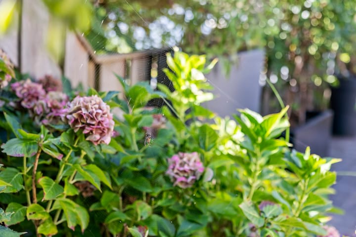 Foto 20 van Prins Hendrikstraat 45