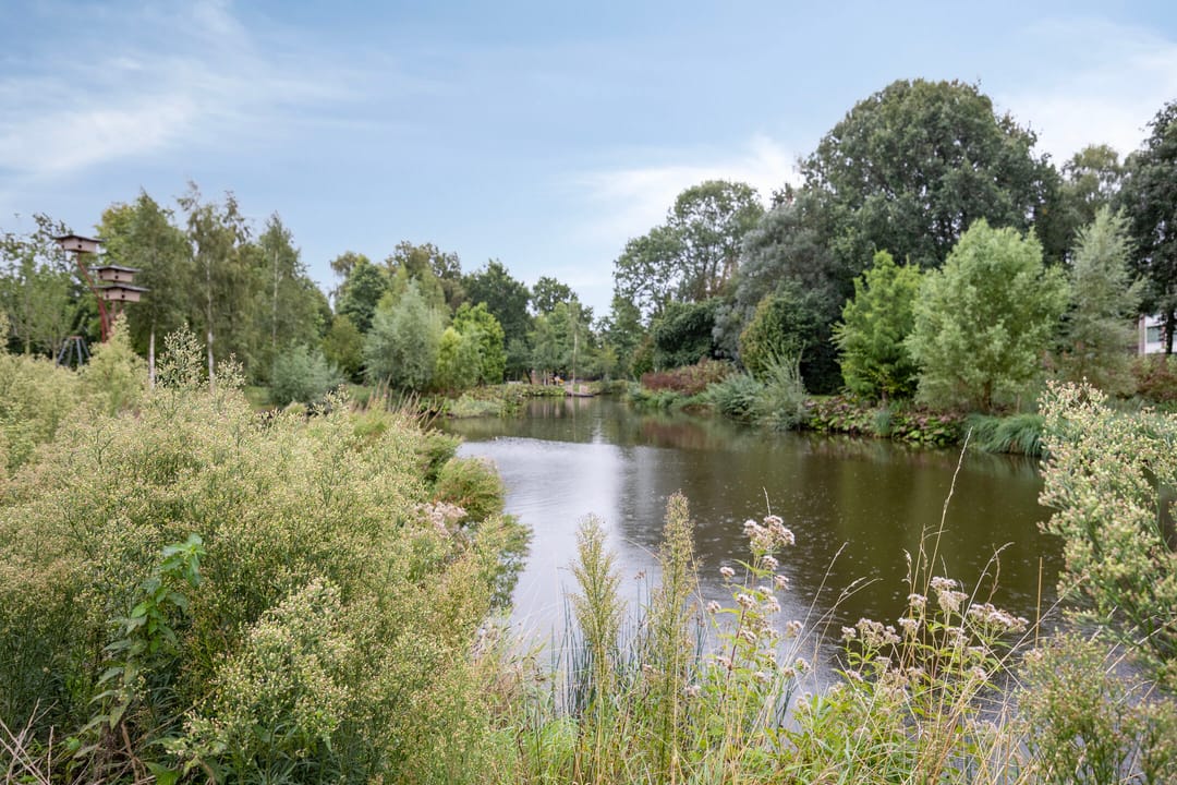 Foto 16 van Spinozalaan 215