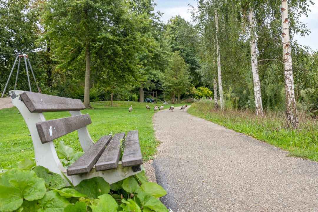 Foto 17 van Spinozalaan 215