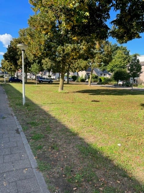 Foto 3 van Perebloesem 59