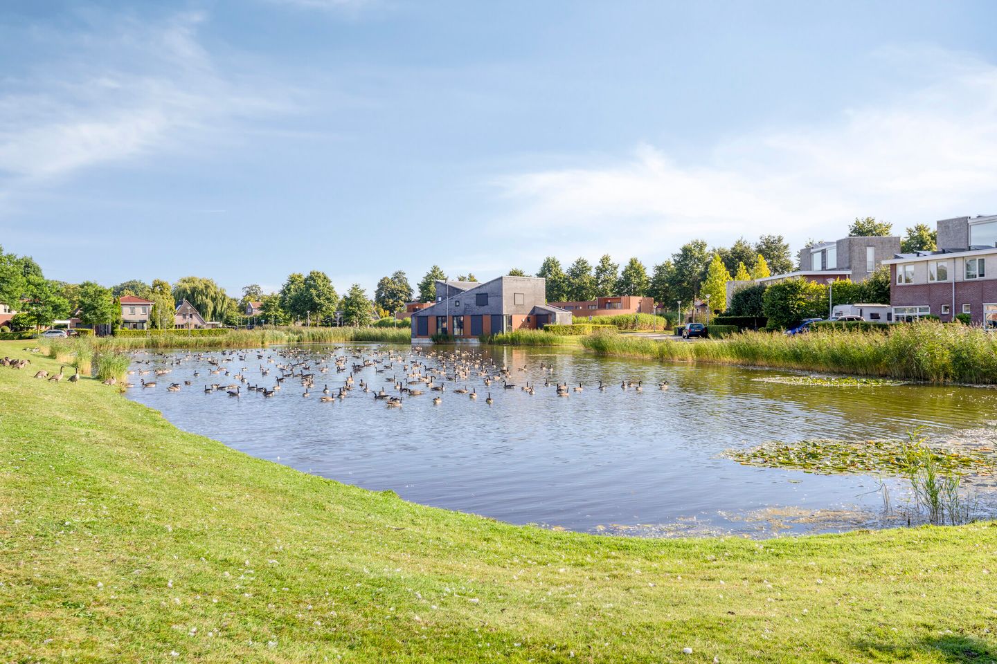 Foto 44 van Buitensingel 91