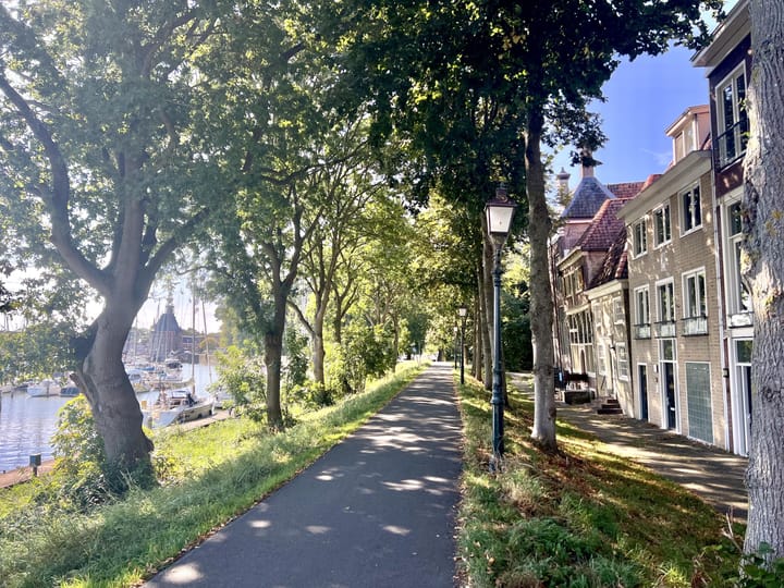 Foto 56 van Binnenluiendijk 5