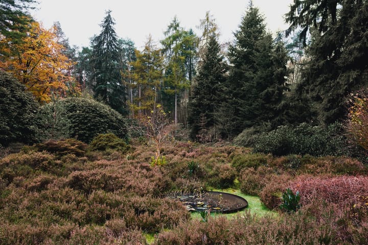 Foto 9 van Heuvellaan 1