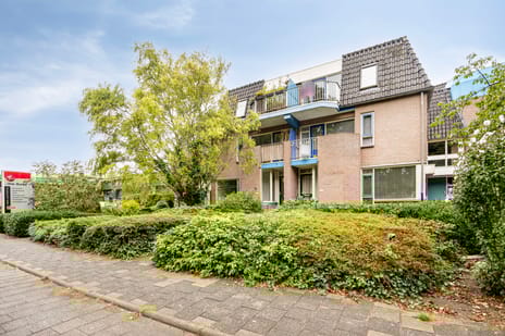 undefined main image