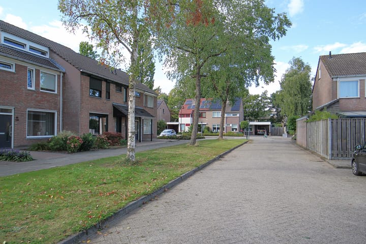 Foto 46 van Albinonistraat 129