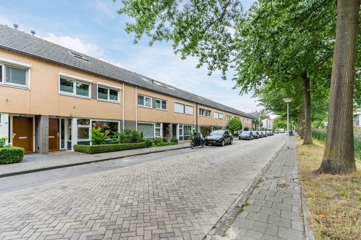 Foto 41 van Jan van Eyckgracht 126