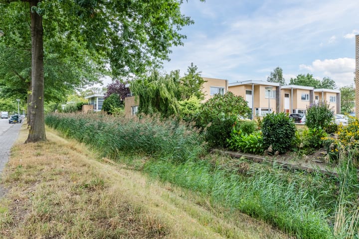 Foto 44 van Jan van Eyckgracht 126