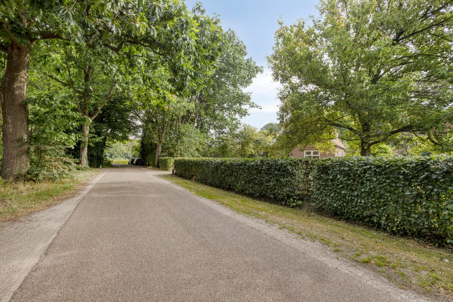 Foto 65 van Dochterenseweg 11