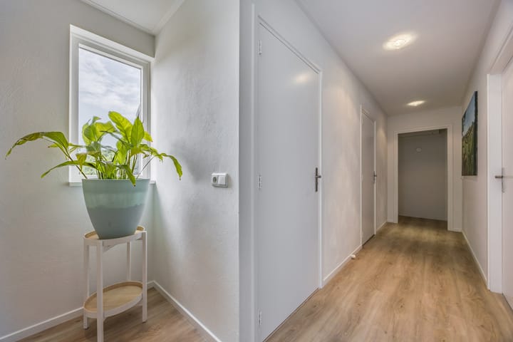 Photo 16 of Violier 17